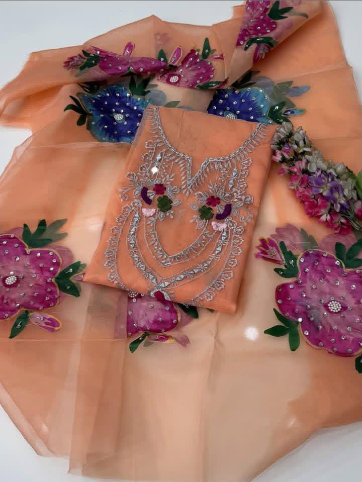 Pure Organza Mirror Tilla Work 2PC Dress