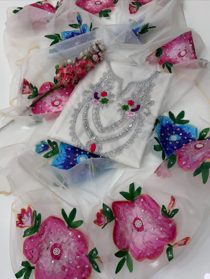 Pure Organza Mirror Tilla Work 2PC Dress