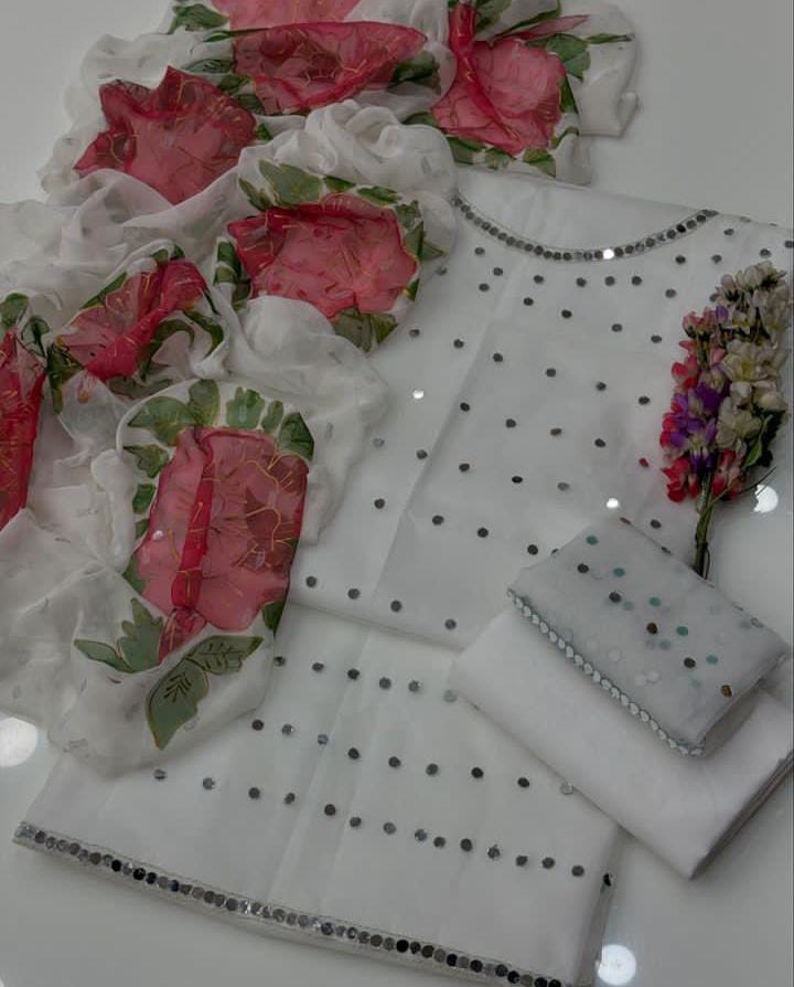 Pure Organza Mirror Work 3PC Dress
