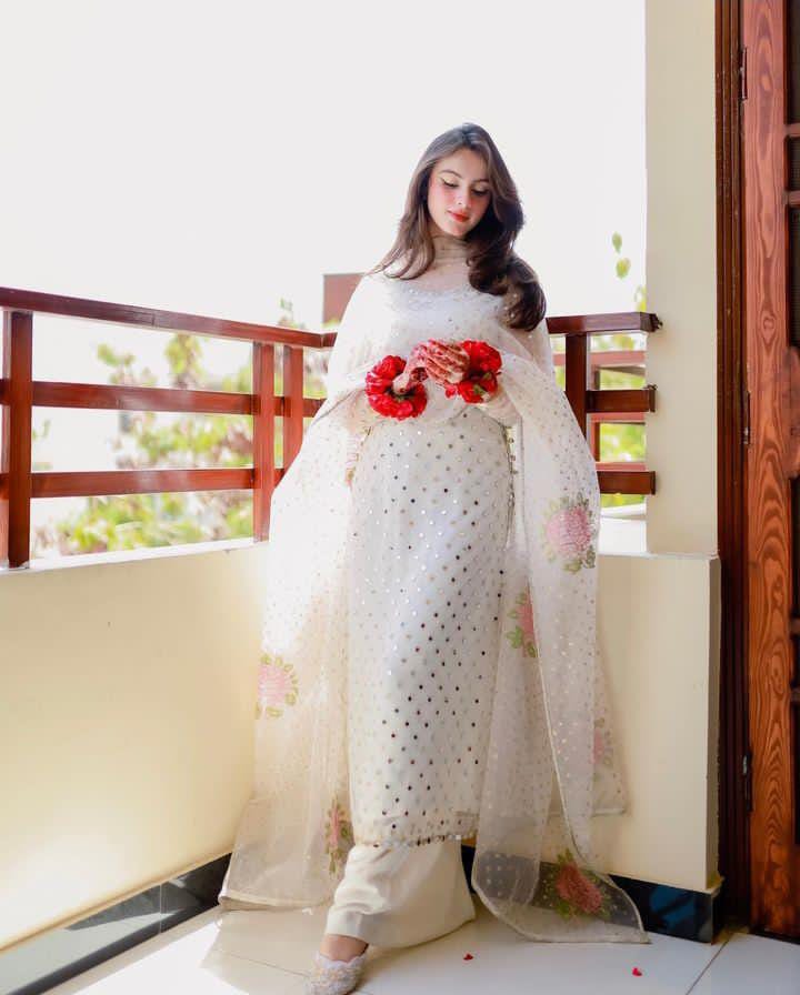 Pure Organza Mirror Work 3PC Dress