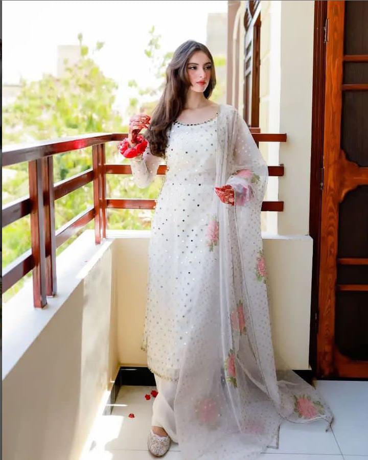 Pure Organza Mirror Work 3PC Dress