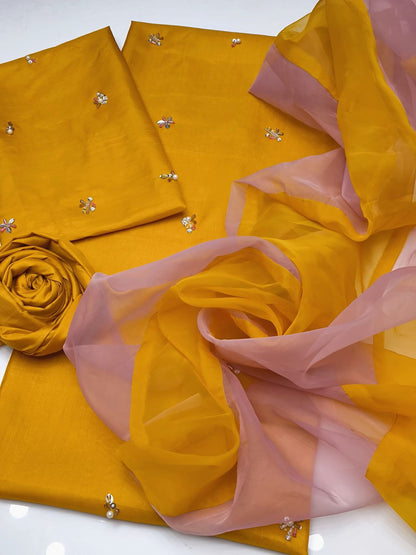 Pure Organza  Fency 3pc Dress