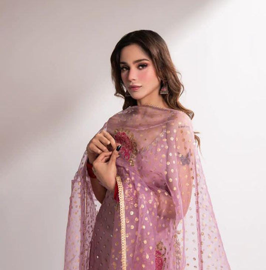 Pure Organza Mirror Work 3PC Dress